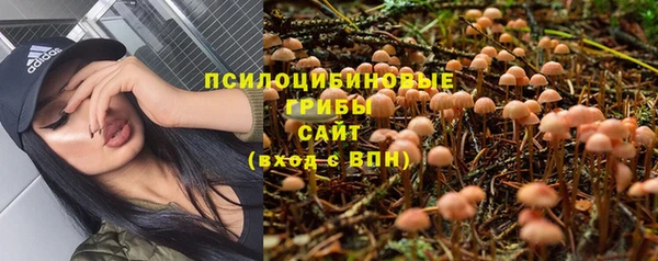 бошки Абдулино