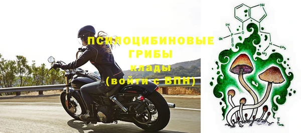 бошки Абдулино