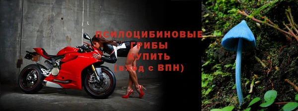 мескалин Мегион